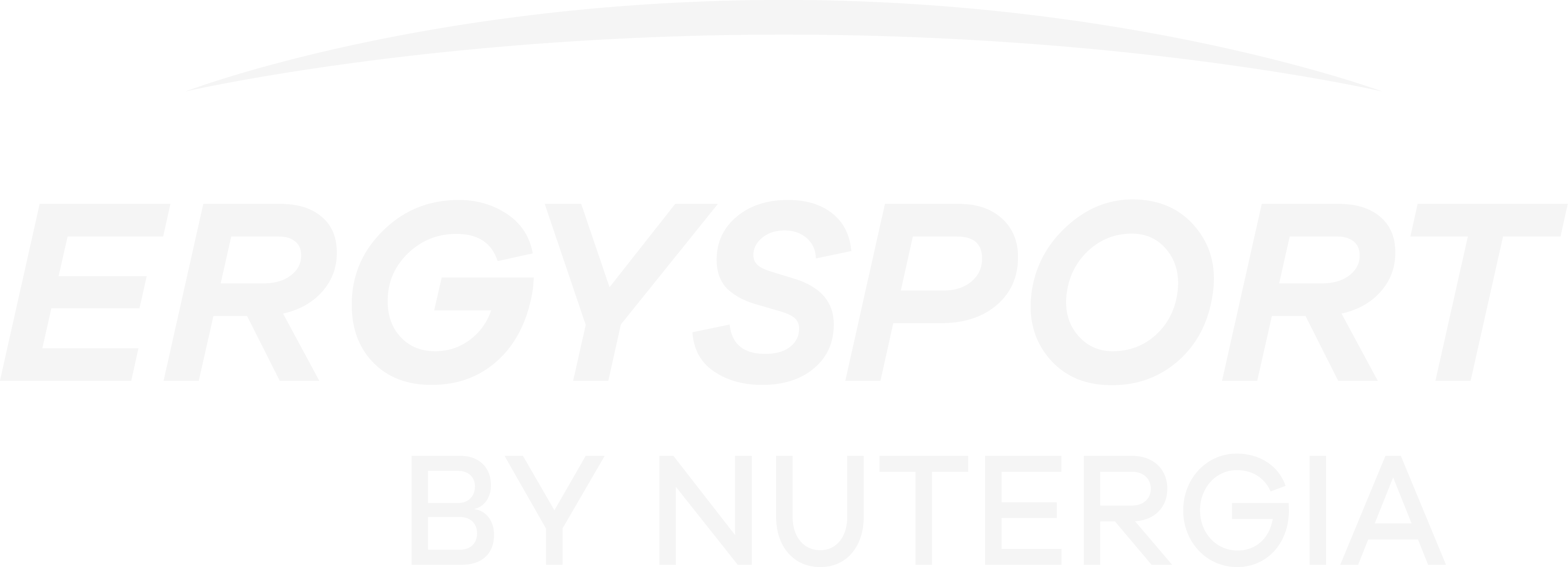 Logo Ergysport blanc